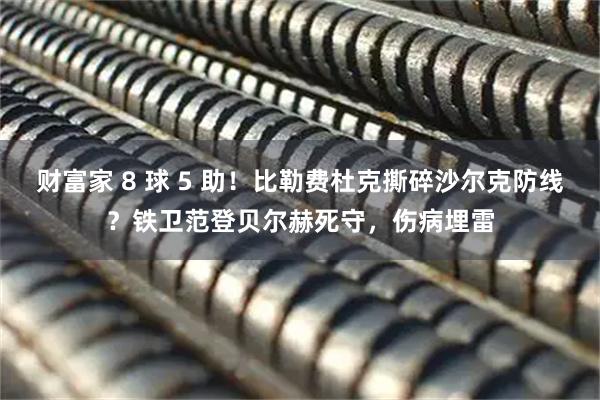 财富家 8 球 5 助！比勒费杜克撕碎沙尔克防线？铁卫范登贝尔赫死守，伤病埋雷