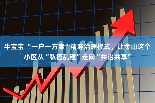 牛宝宝 “一户一方案”精准治理模式,让金山这个小区从“私搭乱建”走向“共治共享”