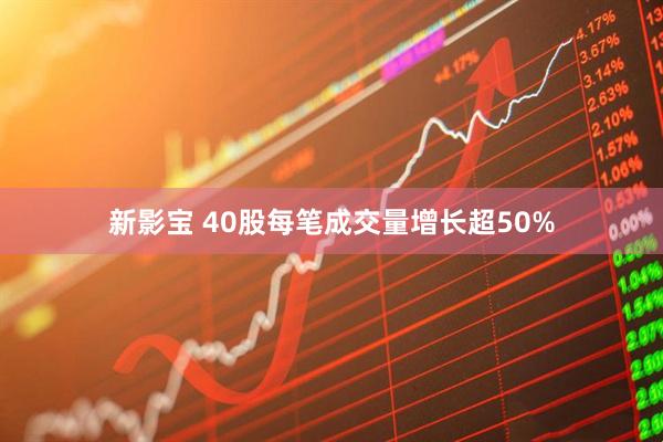 新影宝 40股每笔成交量增长超50%
