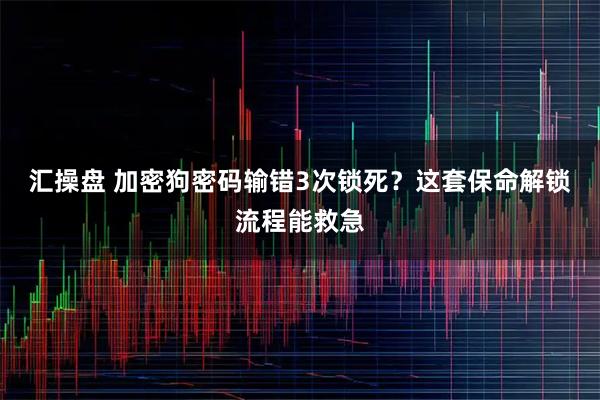 汇操盘 加密狗密码输错3次锁死？这套保命解锁流程能救急